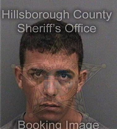 Gregory Riley, - Hillsborough County, FL 