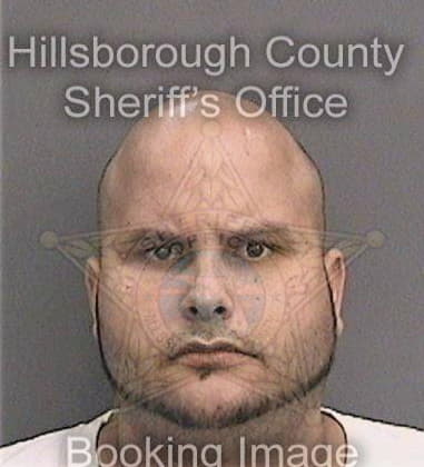 Mark Wiggins - Hillsborough County, FL 