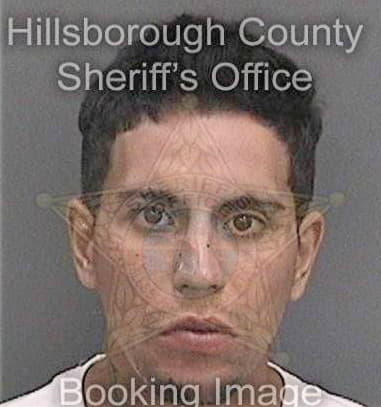 Gabino Alfaro, - Hillsborough County, FL 