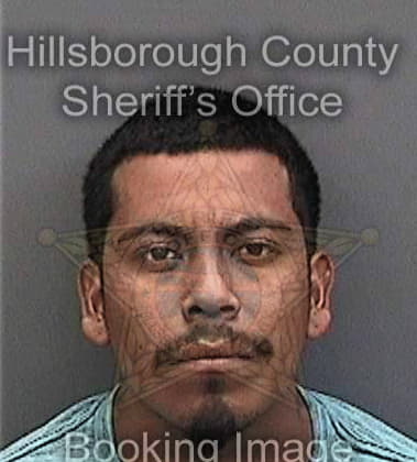 Robert Conway, - Hillsborough County, FL 