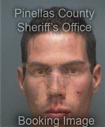 Miquel Garciaortiz, - Pinellas County, FL 