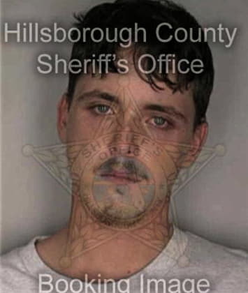 Vladimir Mesa - Hillsborough County, FL 