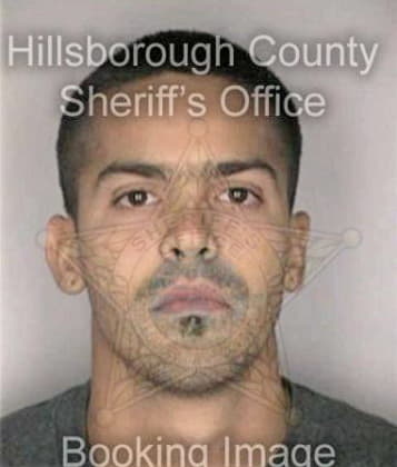 Robert White - Hillsborough County, FL 