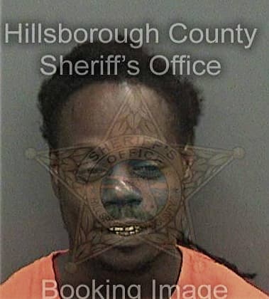 Jeffery Bell, - Hillsborough County, FL 