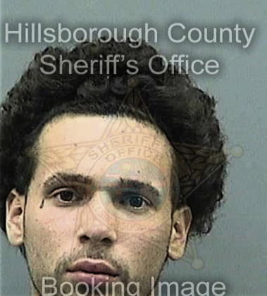 Luis Cruzluna, - Hillsborough County, FL 