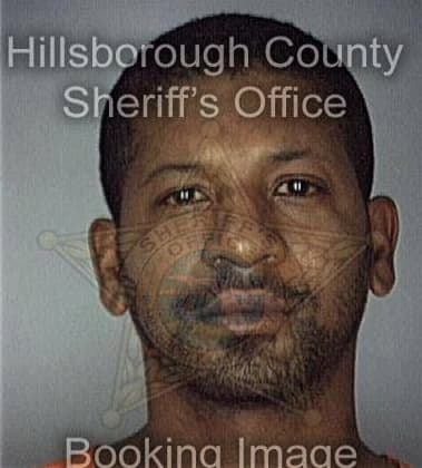 Christopher Davis, - Hillsborough County, FL 