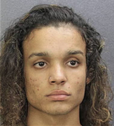 Armando Reyes-Sanchez, - Broward County, FL 