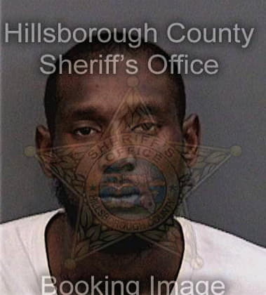 Louisdes Stfelix, - Hillsborough County, FL 