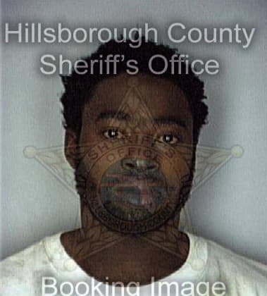 Rodney Wilds - Hillsborough County, FL 