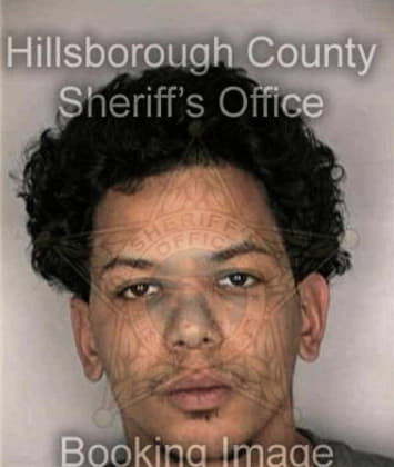 William Carrico, - Hillsborough County, FL 