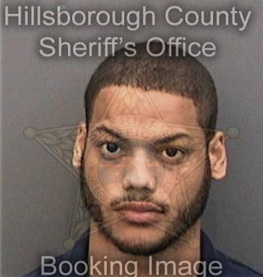 Cedric Cochrane - Hillsborough County, FL 