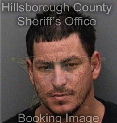 Anton Fearn, - Hillsborough County, FL 