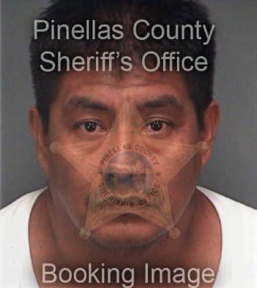 James Gold, - Pinellas County, FL 