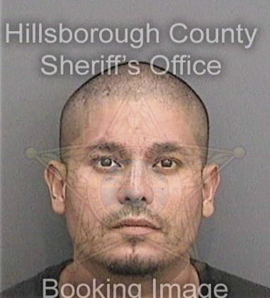 Jose Ibarraortega, - Hillsborough County, FL 