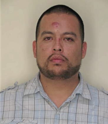 Mario Larreguinegron, - Hillsborough County, FL 