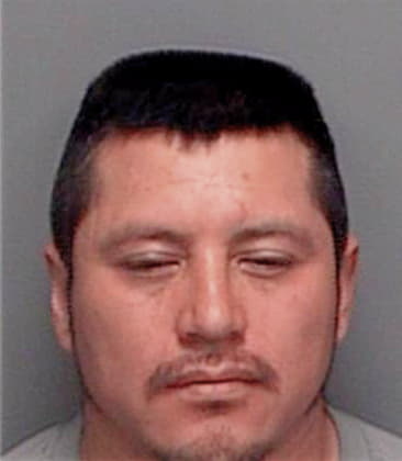 Gregorio Lopezhernandez, - Pinellas County, FL 