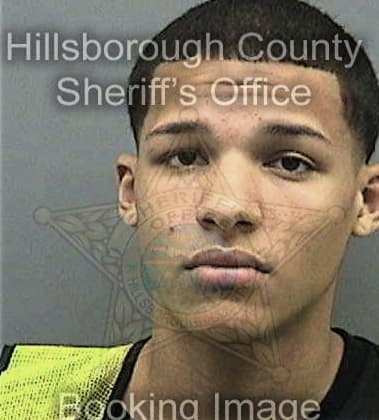 Mark Spriggs, - Hillsborough County, FL 