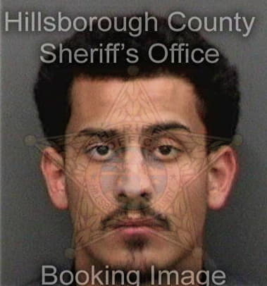 Tarek Alsamiri, - Hillsborough County, FL 