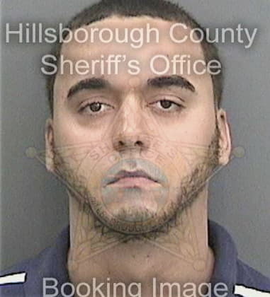 Matthew Metzger - Hillsborough County, FL 