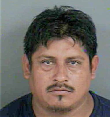 Giovanni Mojica, - Collier County, FL 