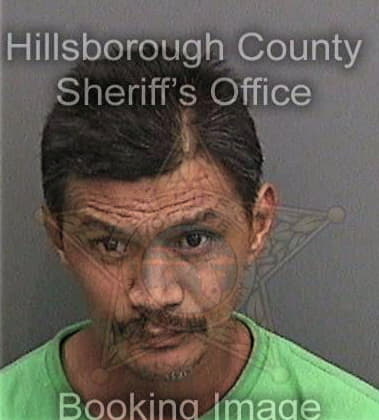 David Primeaux, - Hillsborough County, FL 