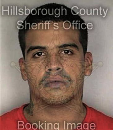 James Sallaz, - Hillsborough County, FL 