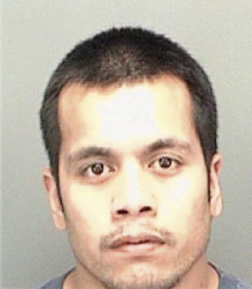 Rafael Sergio, - Pinellas County, FL 