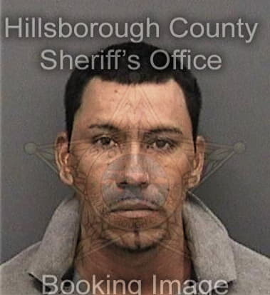 Juan Vazquezpantoja, - Hillsborough County, FL 