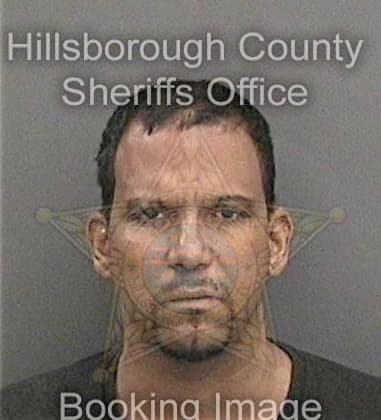 Ricardo Young, - Hillsborough County, FL 