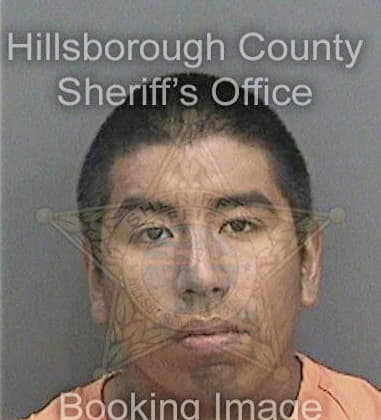 Ahmed Abuelenen, - Hillsborough County, FL 