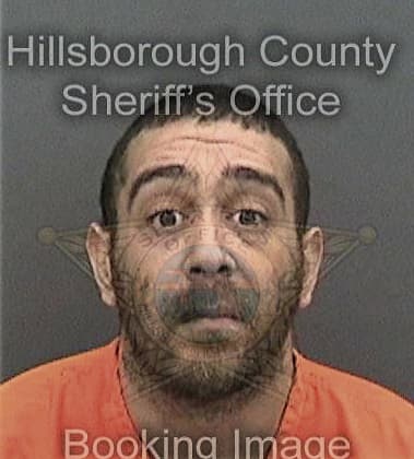 Juan Baca-Quintana, - Hillsborough County, FL 