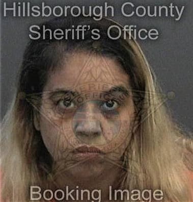 Linsay Casteloes, - Hillsborough County, FL 