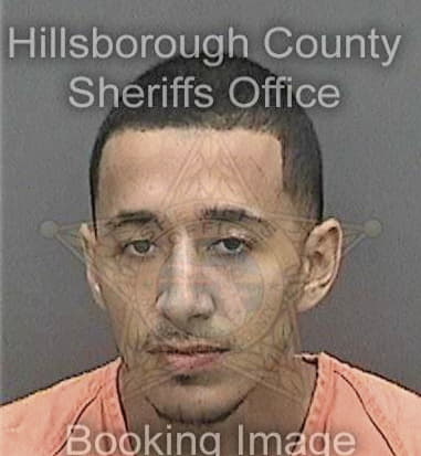 Ronald Coletti - Hillsborough County, FL 