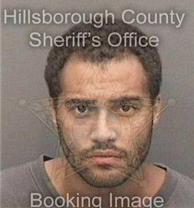 David Hartsfield, - Hillsborough County, FL 