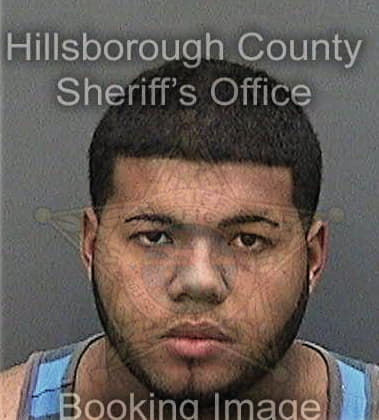 Daniel Merrel - Hillsborough County, FL 