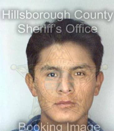 Juan Sanchez, - Hillsborough County, FL 