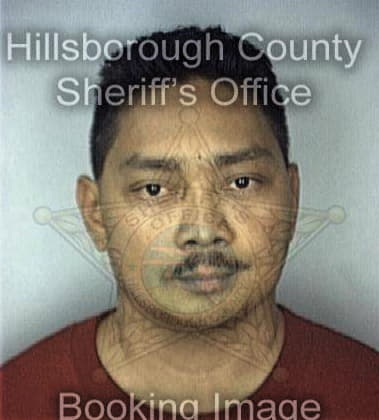 Manuel Canet, - Hillsborough County, FL 