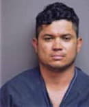 Fernando Cepeda, - Manatee County, FL 