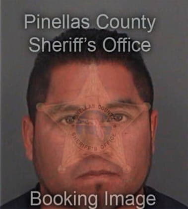 Wilfredo Guivns, - Pinellas County, FL 