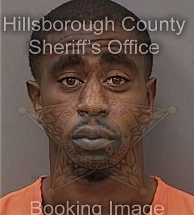 Daniel Johnson, - Hillsborough County, FL 