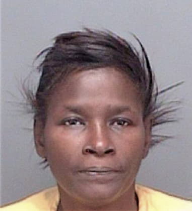 Cynthia Simmons - Pinellas County, FL 