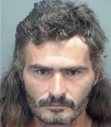 Michael Singer - Pinellas County, FL 