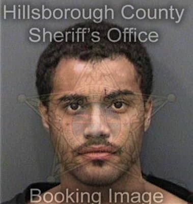 Reginald Thurman, - Hillsborough County, FL 