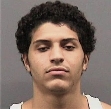 Johnathan Fernandez, - Hillsborough County, FL 