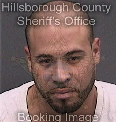 Jason Fogle, - Hillsborough County, FL 