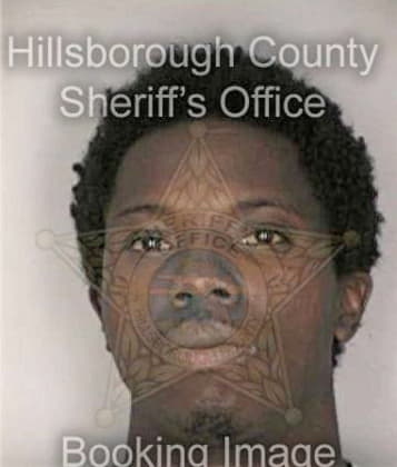 Reginald Kirkland, - Hillsborough County, FL 