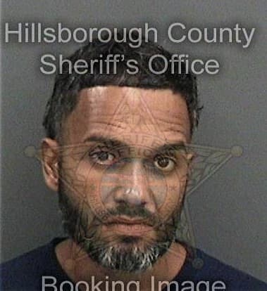 Marcelino Lopezvelazquez, - Hillsborough County, FL 