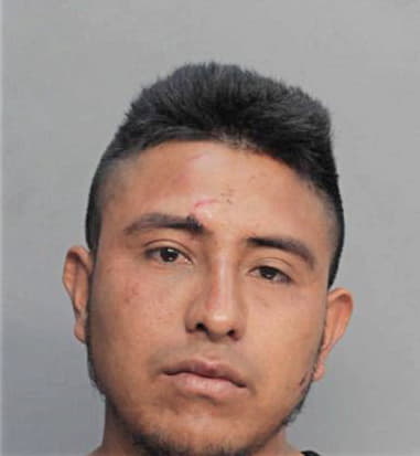 Christian Moya-Fernandez, - Dade County, FL 