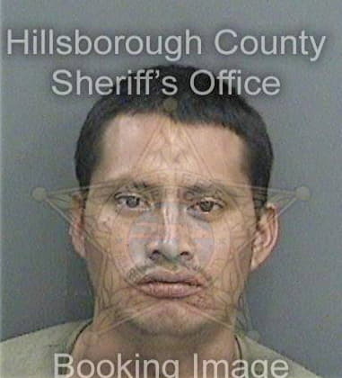 Brynanthony Nation, - Hillsborough County, FL 