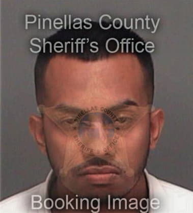 Sanjay Patel, - Pinellas County, FL 